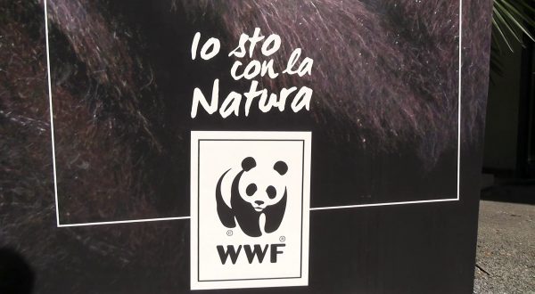Sostenibilità, al via la quinta edizione di “For Nature, For Us”