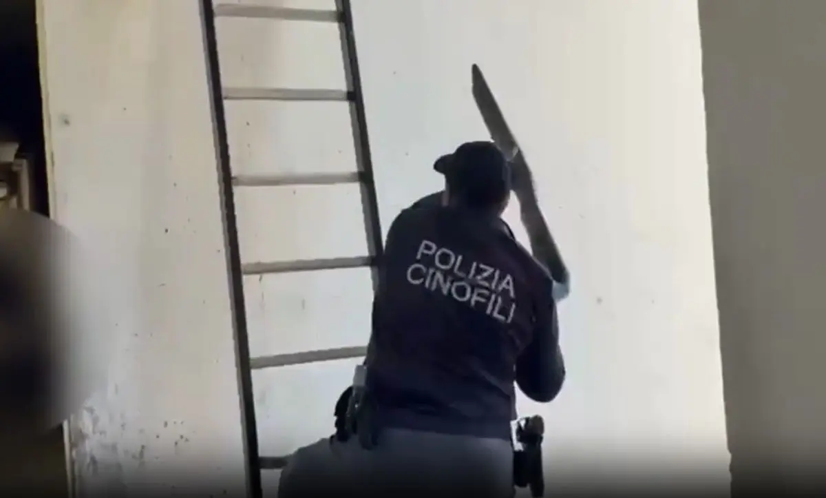 Catania, scoperto nascondiglio di armi e munizioni in un edificio del quartiere Librino / Video