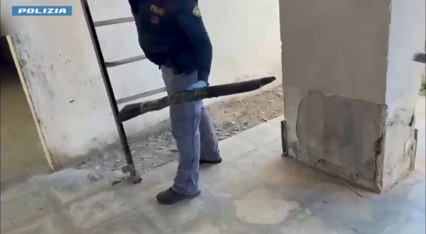 Catania, scoperto nascondiglio di armi e munizioni in edificio di Librino