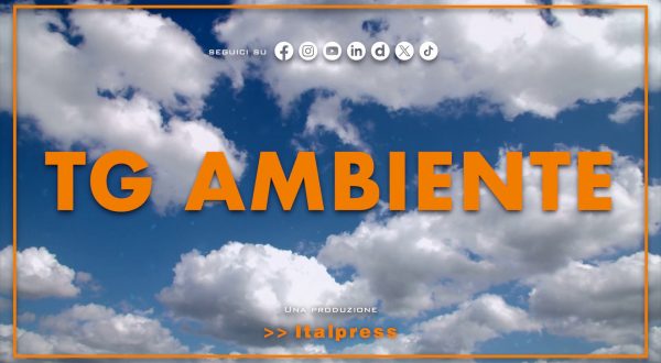 Tg Ambiente – 5/4/2026