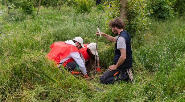 Ambiente, il Progetto Boschi di E.ON supera i 150.000 alberi piantati