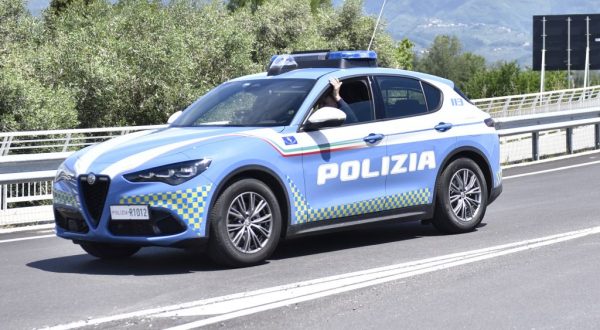 Omicidio Diviesti e riciclaggio sull’asse Italia-Albania, maxi blitz