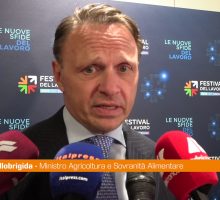 Agricoltura, Lollobrigida "Il settore &egrave; il primo custode dell'ambiente"