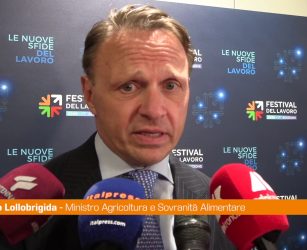 Agricoltura, Lollobrigida "Il settore &egrave; il primo custode dell'ambiente"