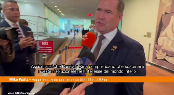 Onu, Waltz “Risoluzione per riaprire Hormuz è nell’interesse del mondo intero”