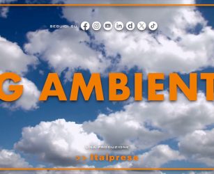 Tg Ambiente - 3/5/2026