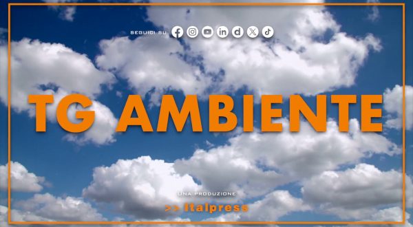Tg Ambiente – 3/5/2026