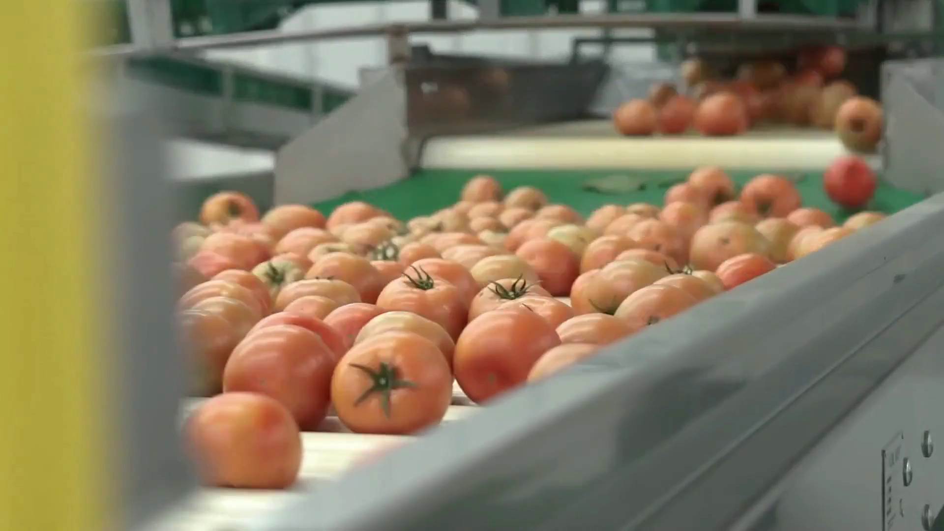 Agroalimentare, l’export traina il settore