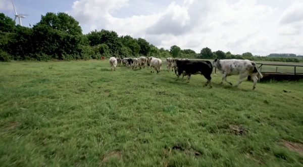 Agroalimentare, un filo diretto tra banche e imprese