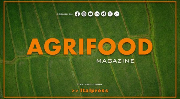 Agrifood Magazine – 13/5/2026
