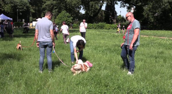 Dog Lovers Day, a Roma e Milano focus sulla prevenzione veterinaria