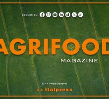 Agrifood Magazine - 20/5/2026