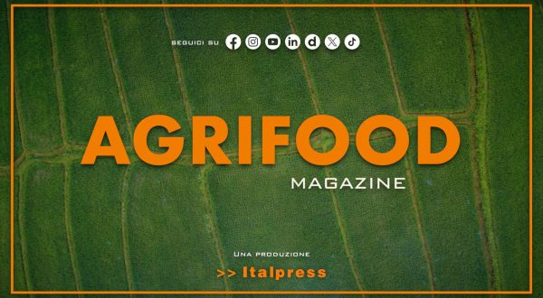 Agrifood Magazine – 20/5/2026