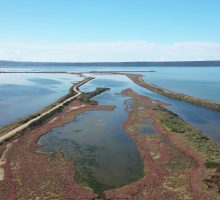 Zone umide a rischio, &egrave; allarme sulla biodiversit&agrave;
