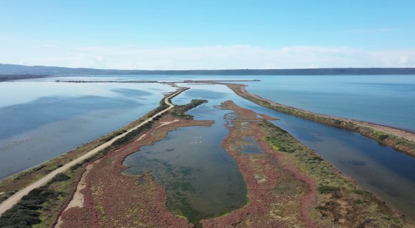 Zone umide a rischio, è allarme sulla biodiversità
