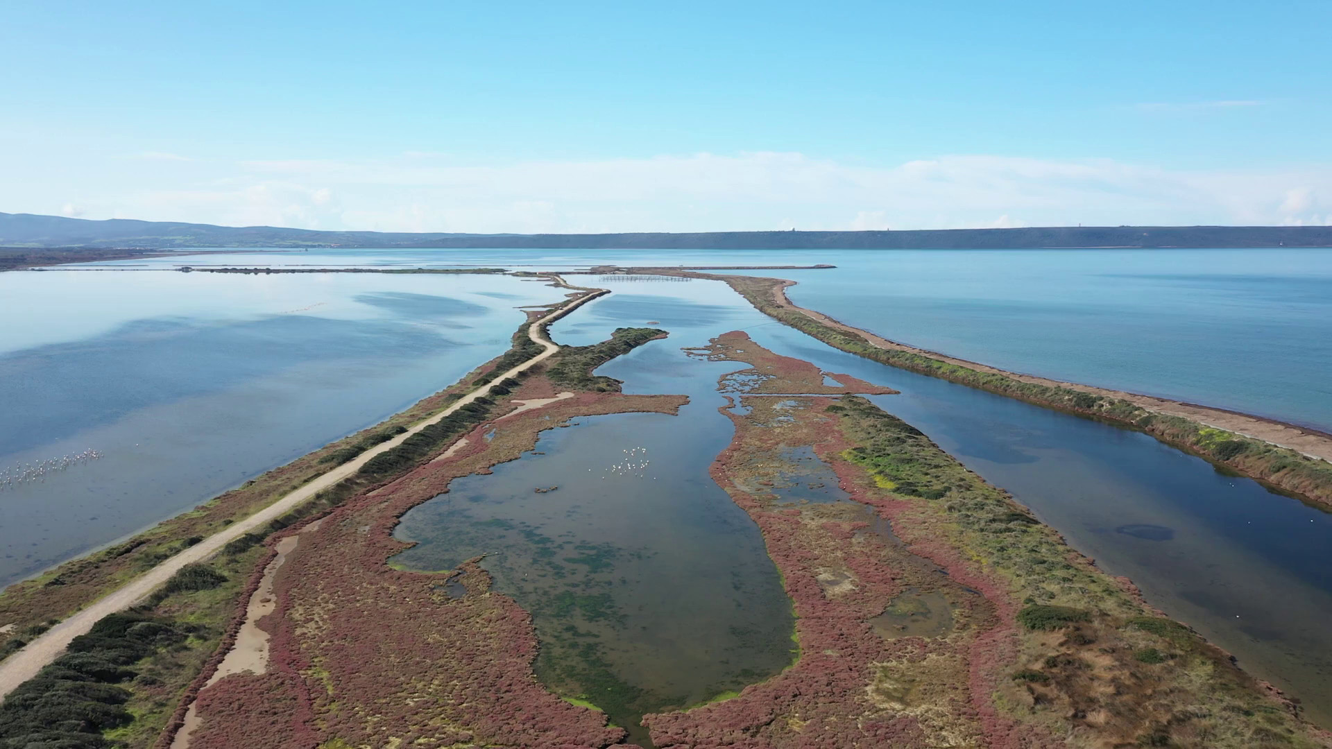 Zone umide a rischio, &egrave; allarme sulla biodiversit&agrave;