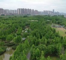 Cina, alla scoperta del modello di ripristino ecologico nel Jiangxi