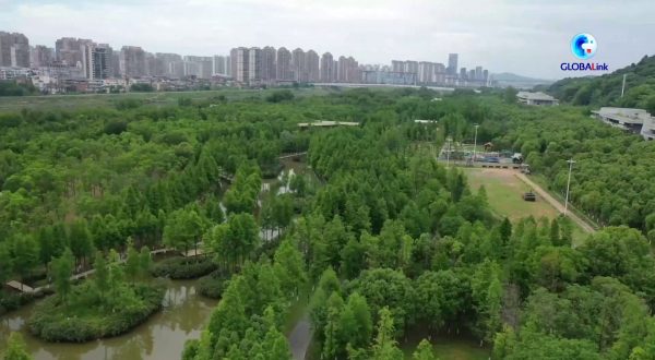 Cina, alla scoperta del modello di ripristino ecologico nel Jiangxi