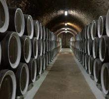 Vino, export mondiale da record ma pesano i dazi Usa