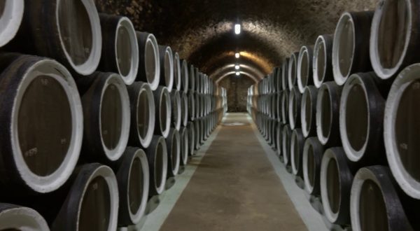 Vino, export mondiale da record ma pesano i dazi Usa