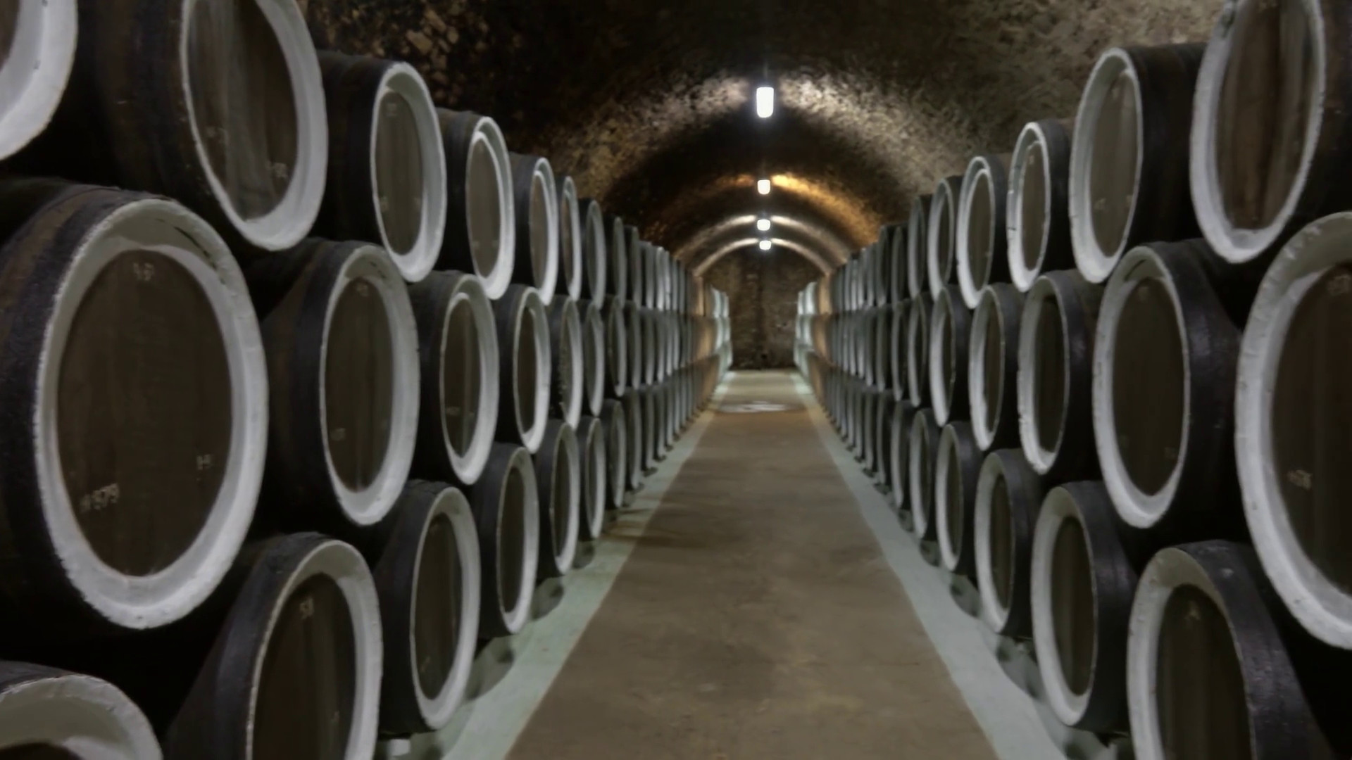 Vino, export mondiale da record ma pesano i dazi Usa