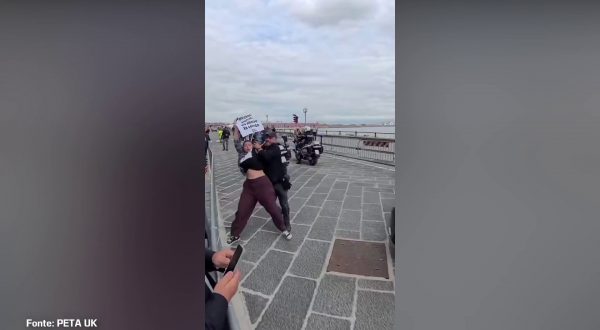 Napoli, attiviste Peta fermano Papamobile per protesta contro le corride