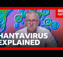 What is hantavirus and how is it spread? | BBC News