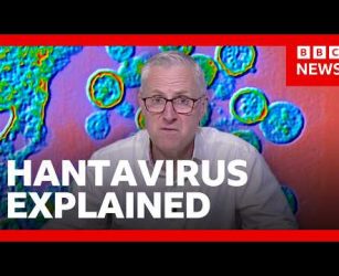 What is hantavirus and how is it spread? | BBC News
