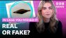 The story of the Calvine UFO photograph | In Case You Missed It