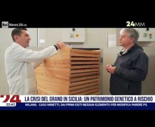Unimpresa su Rai news 24 24mm "Il pane del Re" - Crisi del grano in Sicilia  - 07/05/2026 - 22.30