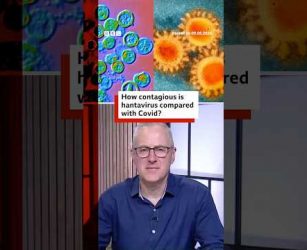 How contagious is hantavirus compared with Covid? #Hantavirus #Covid #BBCNews