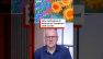 How contagious is hantavirus compared with Covid? #Hantavirus #Covid #BBCNews