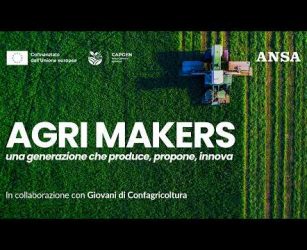 Coltivare il riso nel 2026: com'&egrave; cambiato fare agricoltura - con Luigi Perinotti