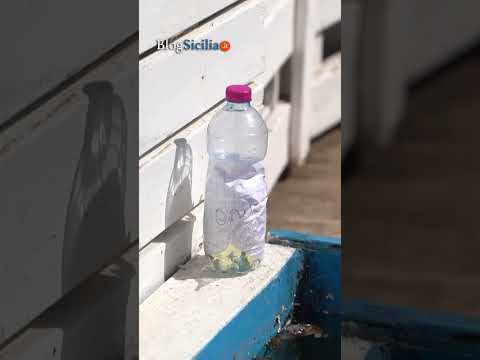 Intimidazione a Isola delle Femmine, bottiglie di benzina ai lidi