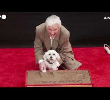 Hollywood, cerimonia delle impronte per Glenn Close#ansa #news