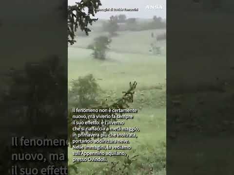 Colpo di coda dell'inverno, neve in Abruzzo a meta' maggio #ansa #news