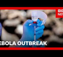 WHO declares Ebola outbreak in DR Congo a global health emergency | BBC News