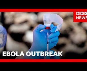WHO declares Ebola outbreak in DR Congo a global health emergency | BBC News
