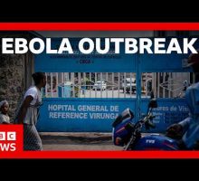 WHO declares Ebola outbreak in DR Congo an international emergency | BBC News