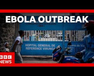 WHO declares Ebola outbreak in DR Congo an international emergency | BBC News