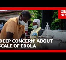 WHO 'deeply concerned' about Ebola outbreak in Democratic Republic of Congo | BBC News