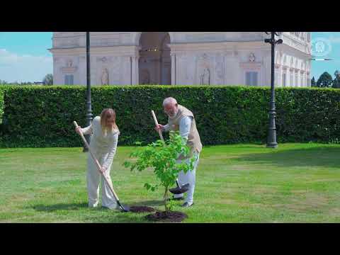 Incontro Meloni - Modi: la cerimonia di piantumazione di un albero
