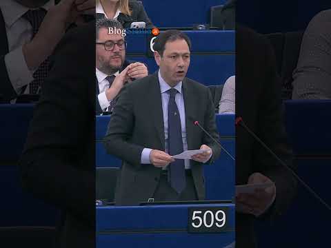 Strage Falcone, Razza: “Ue istituisca Commissione contro le mafie”