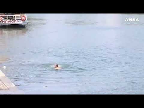 Caldo a Milano, bagno nel Naviglio della Darsena per cercare refrigerio