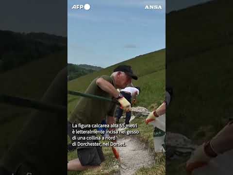 Torna bianco il gigante di gesso di Cerne Abbas #ansa #news