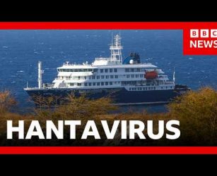 Second hantavirus case confirmed after three die in suspected cruise ship outbreak | BBC News