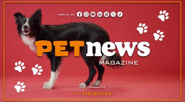 PetNews Magazine – 25/5/2026