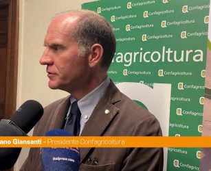 Giansanti "Per l'oliva da tavola una dimensione di mercato importante"
