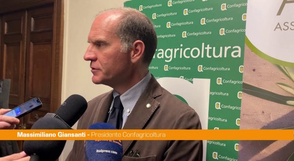 Giansanti “Per l’oliva da tavola una dimensione di mercato importante”