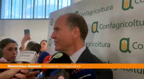 Agricoltura, Giansanti “Con blocco Hormuz peggiore crisi degli ultimi 100 anni”